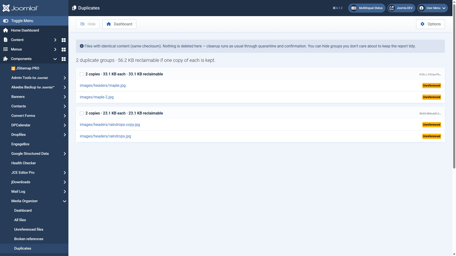 The duplicates report with a group of two identical files
