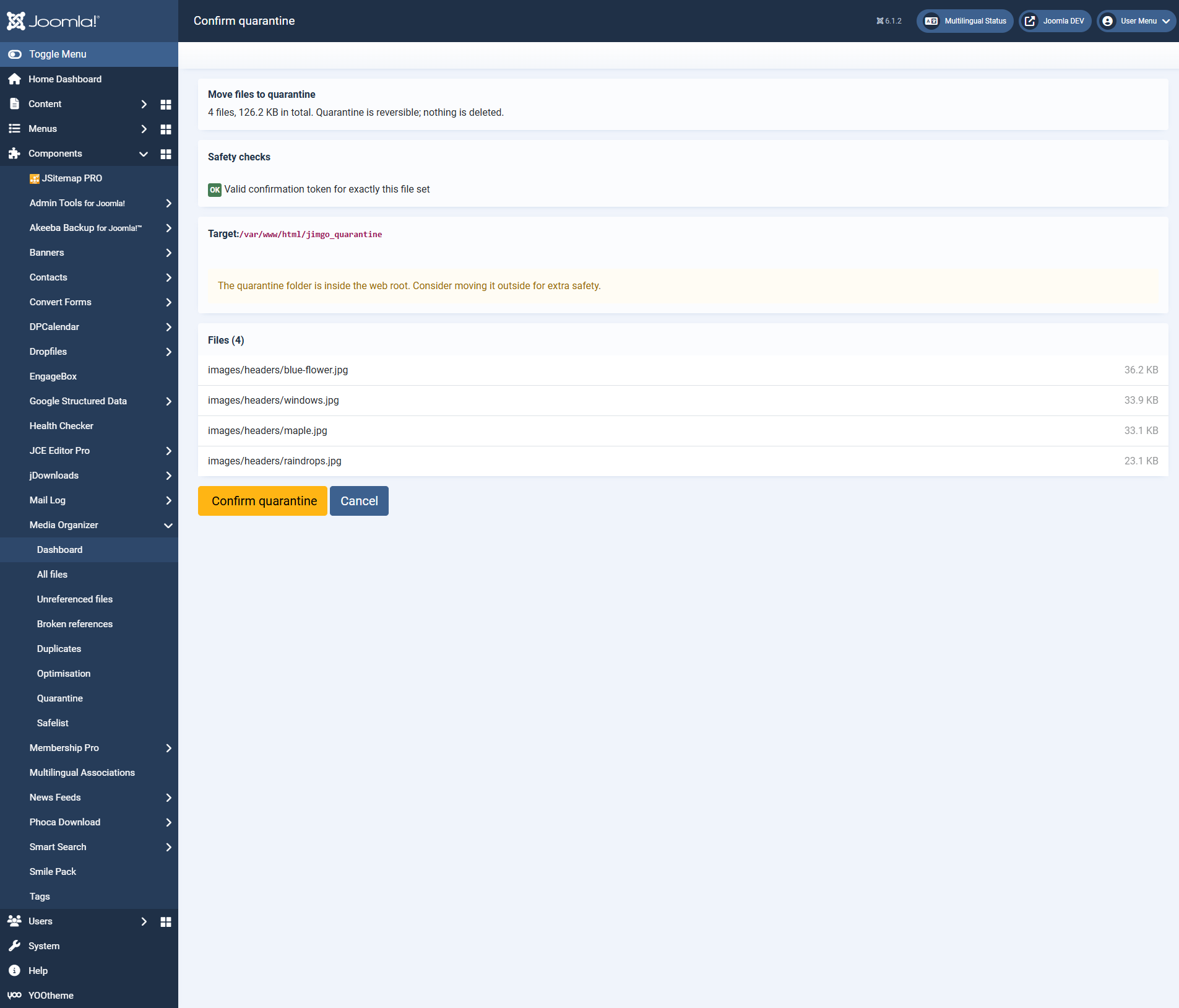 The confirmation dialogue with safety checks, target folder and the complete file list