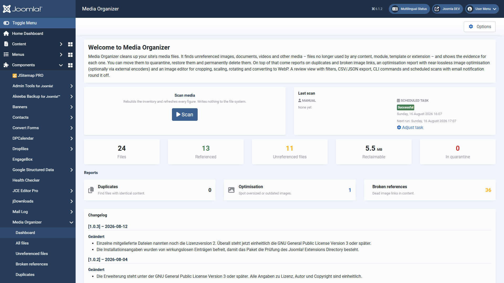 Dashboard of Media Organizer with the key figures after a scan