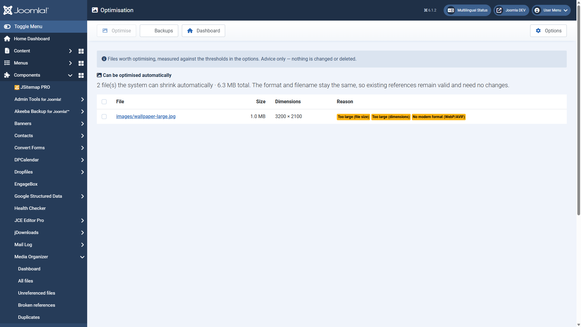 The optimisation report with one file and the reasons for flagging it