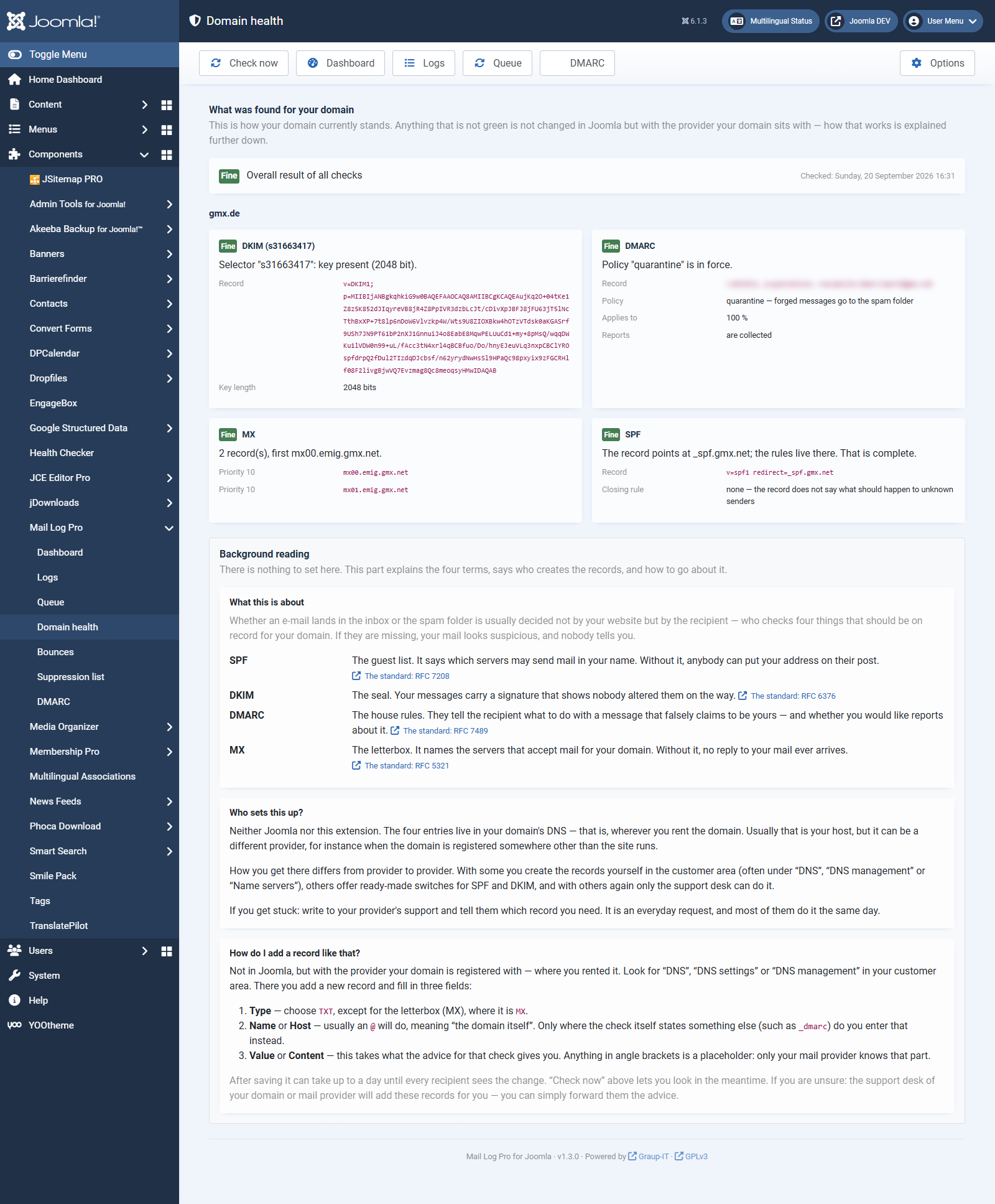 The domain health screen in the Pro version: per check the DNS record, the finding and what to do about it