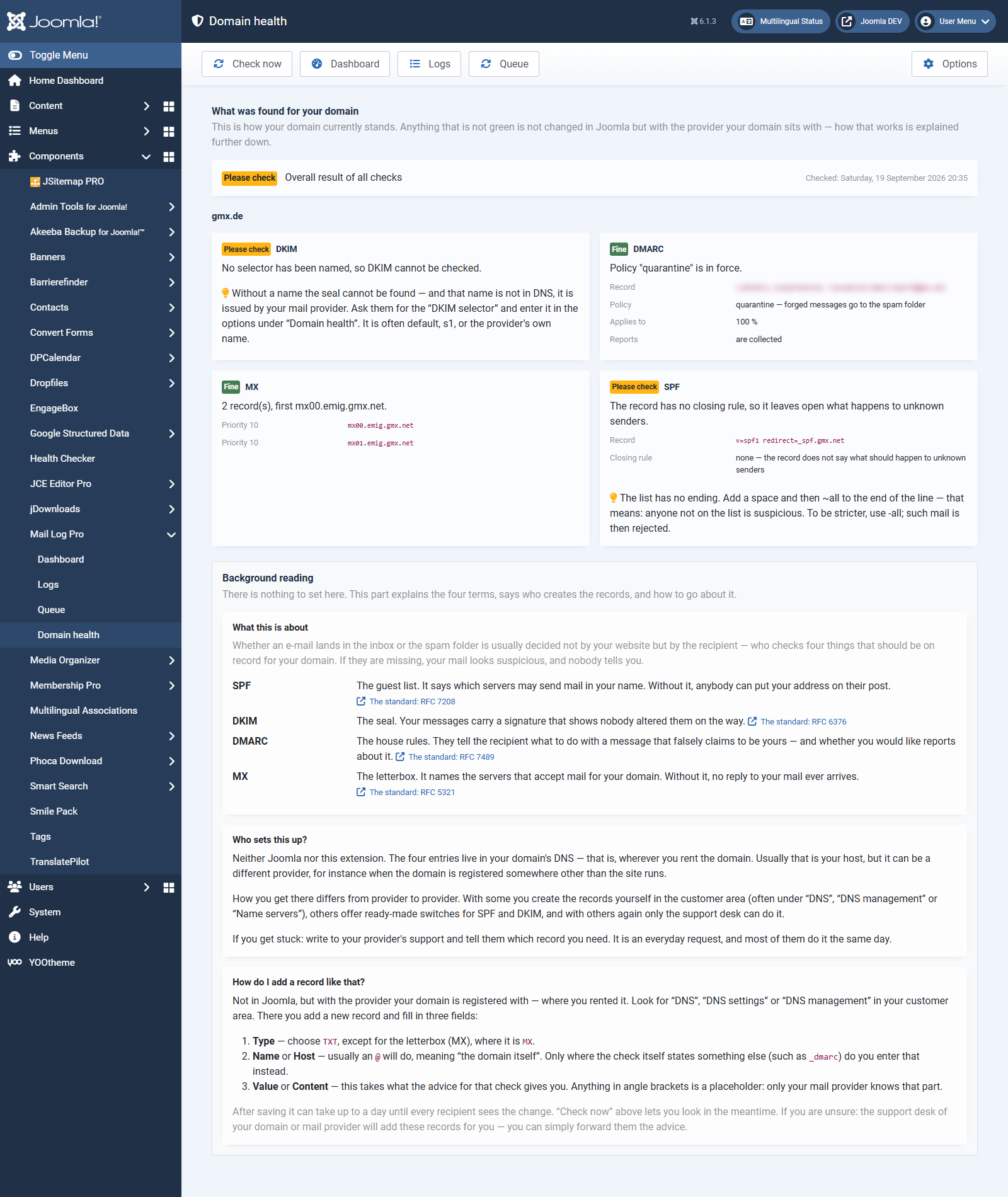 The domain health screen in the Pro version: per check the DNS record, the finding and what to do about it